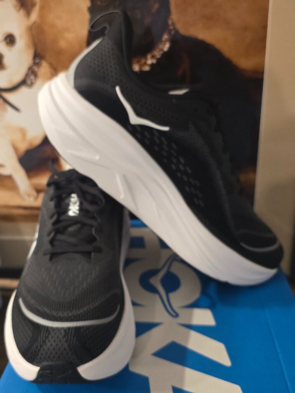 Hoka Men's Skyflow Running Shoes Black White 1155111-BWHT Hiking Trail Sz 10 NEW